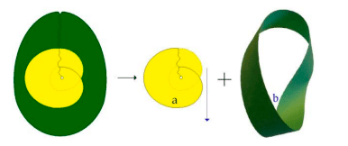 Cross-cap + Banda de Moebius + objeto a