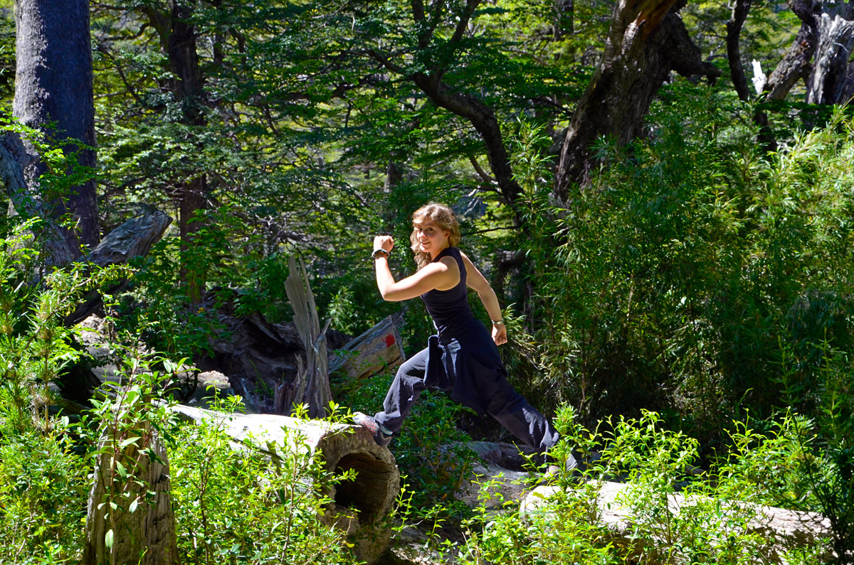 Villa la Angostura 2015 - Mirador Belvedere y cascada Inacayal