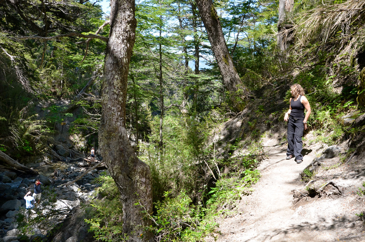 Villa la Angostura 2015 - Mirador Belvedere y cascada Inacayal