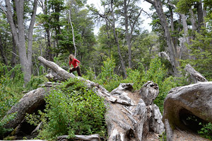 Villa la Angostura 2015 - Viejo Coihue - Bahía Ultima Esperanza