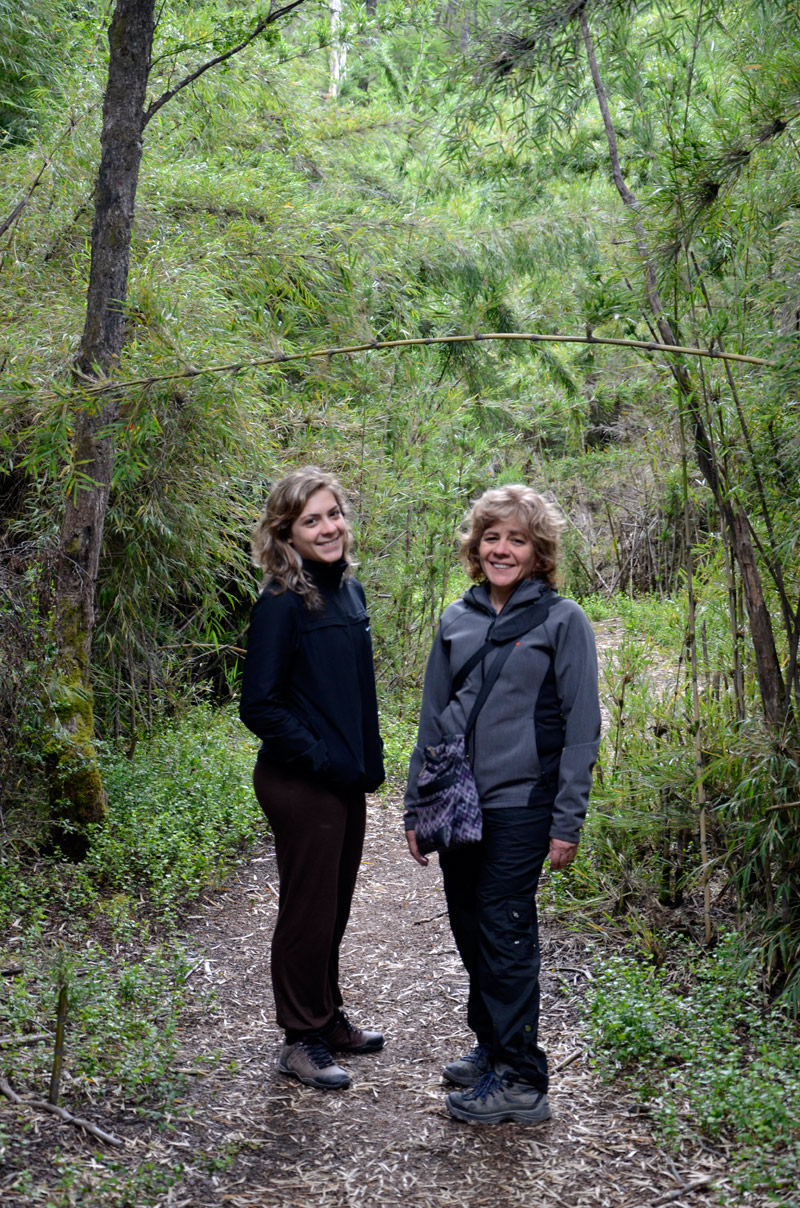 Villa la Angostura 2015 - Viejo Coihue - Bahia última esperanza