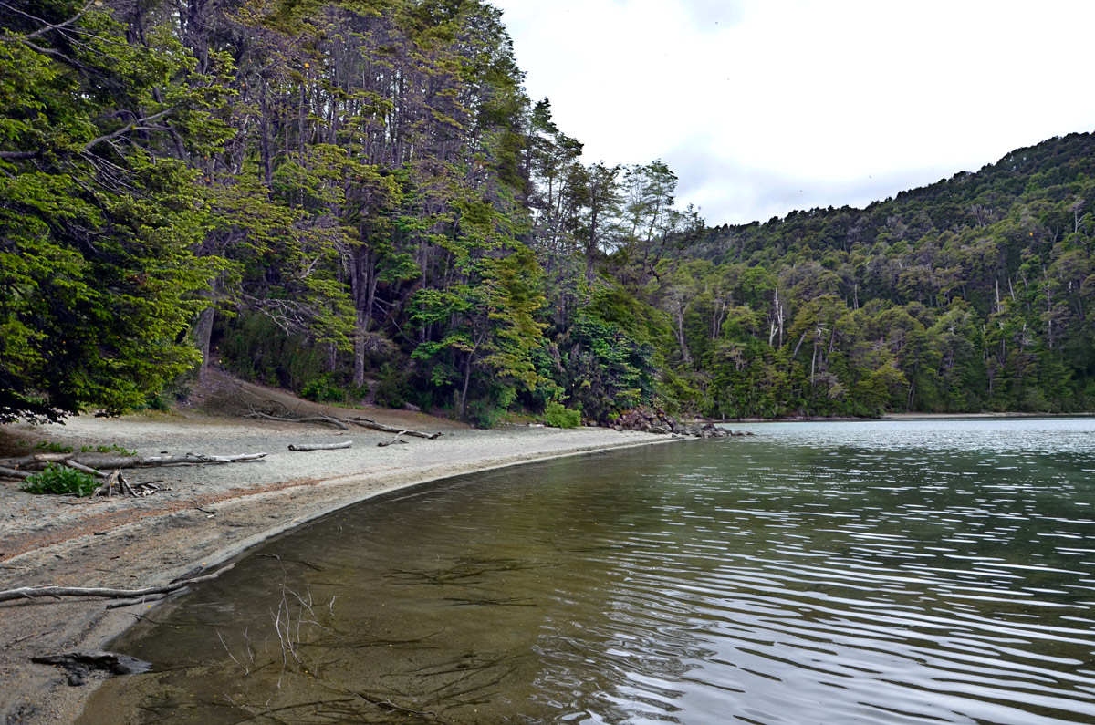 Villa la Angostura 2015 - Viejo Coihue - Bahia última esperanza