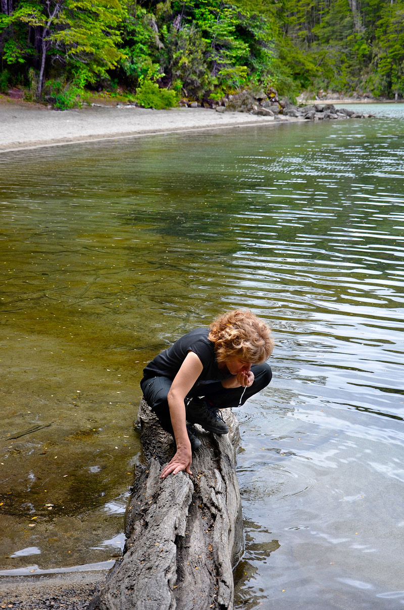 Villa la Angostura 2015 - Viejo Coihue - Bahia última esperanza