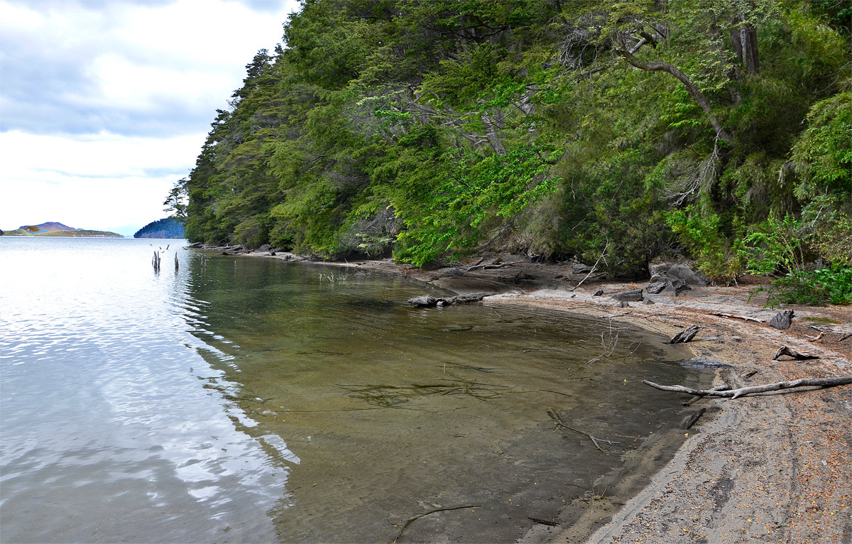 Villa la Angostura 2015 - Viejo Coihue - Bahia última esperanza
