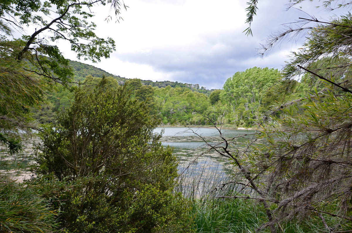 Villa la Angostura 2015 - Viejo Coihue - Bahia última esperanza