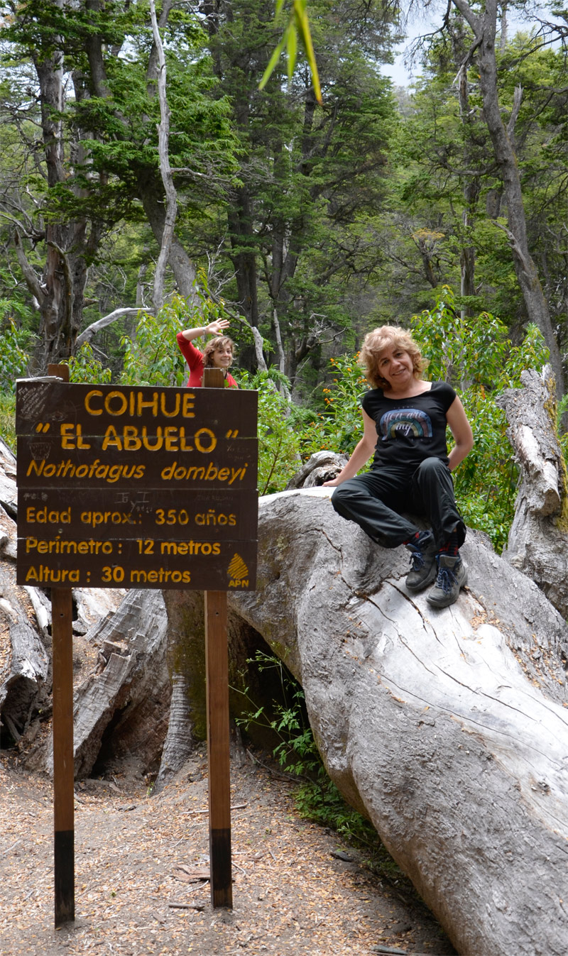 Villa la Angostura 2015 - Viejo Coihue - Bahia última esperanza