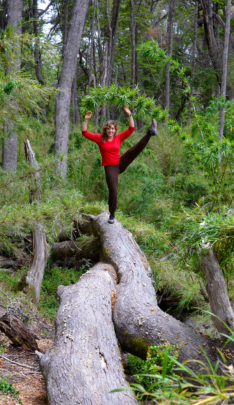 Villa la Angostura 2015 - Viejo Coihue - Bahia última esperanza