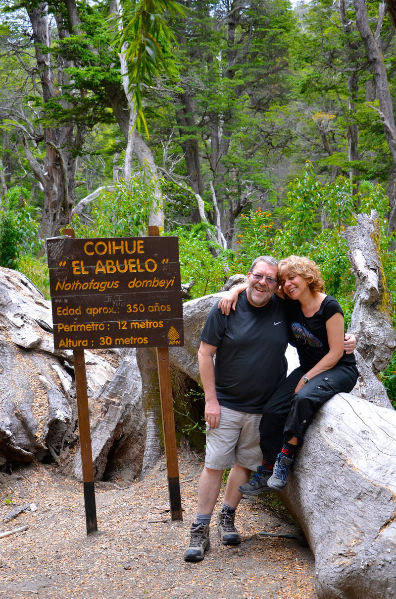 Villa la Angostura 2015 - Viejo Coihue - Bahia última esperanza