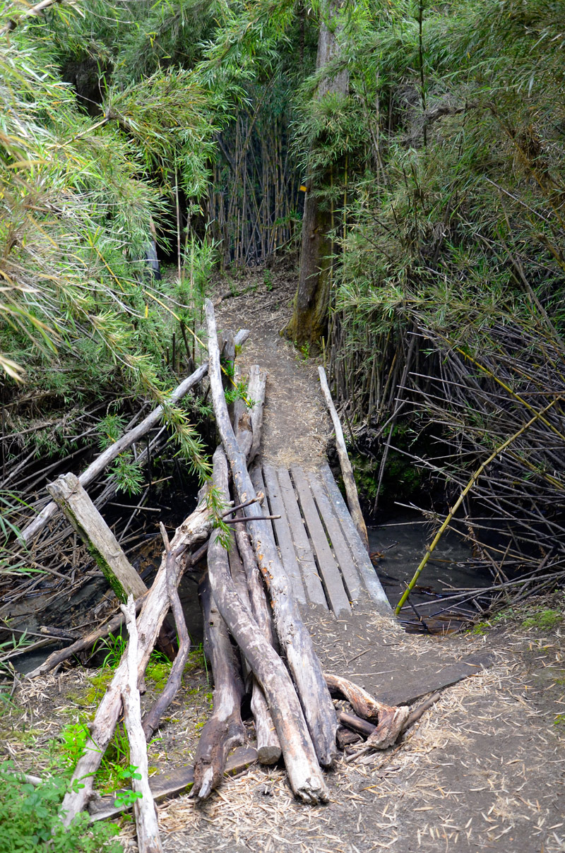 Villa la Angostura 2015 - Viejo Coihue - Bahia última esperanza