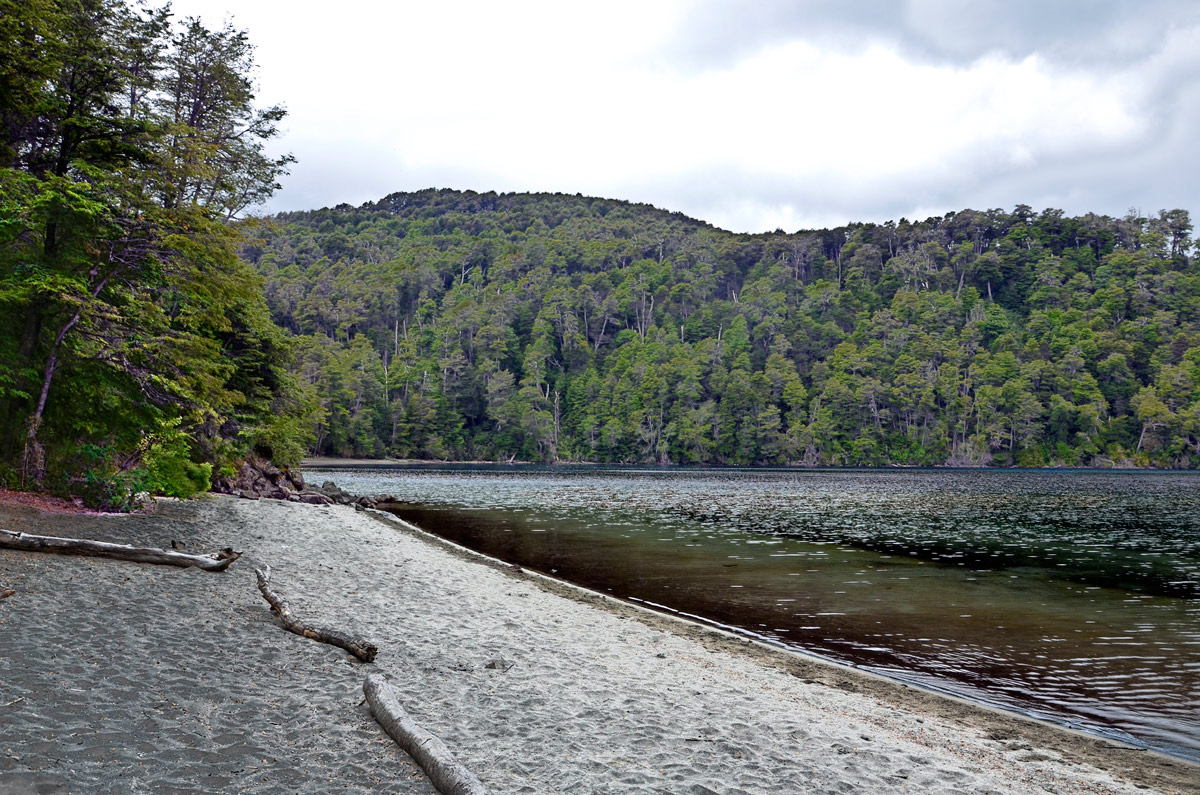 Villa la Angostura 2015 - Viejo Coihue - Bahia última esperanza