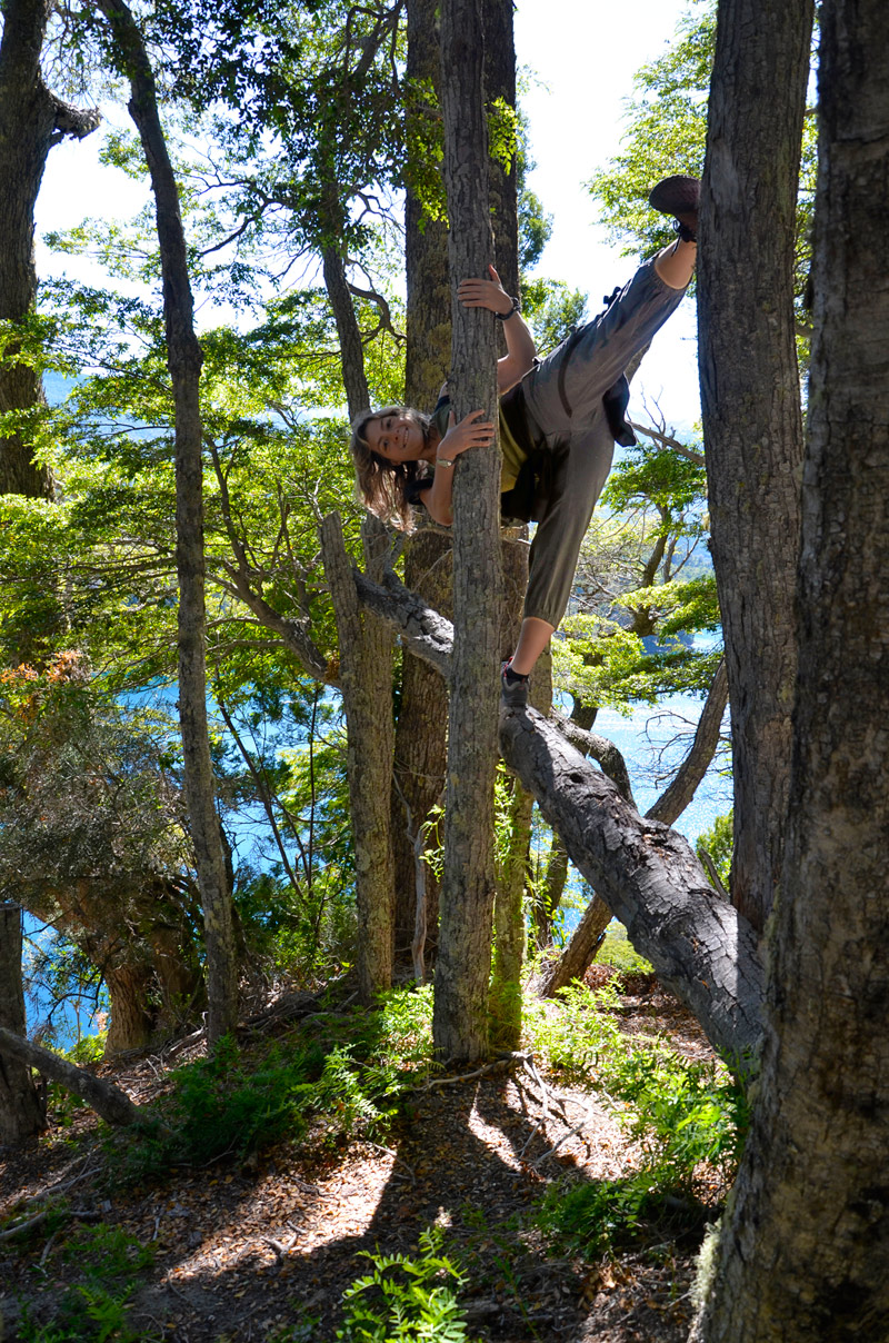 Villa la Angostura 2015 - Península de Quetrihué - Bosque de Arrayanes