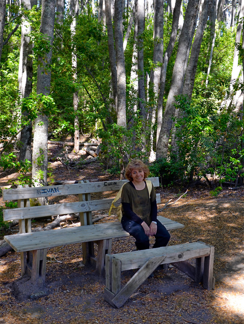 Villa la Angostura 2015 - Península de Quetrihué - Bosque de Arrayanes