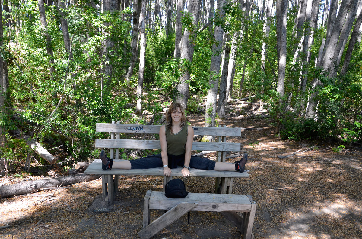 Villa la Angostura 2015 - Península de Quetrihué - Bosque de Arrayanes