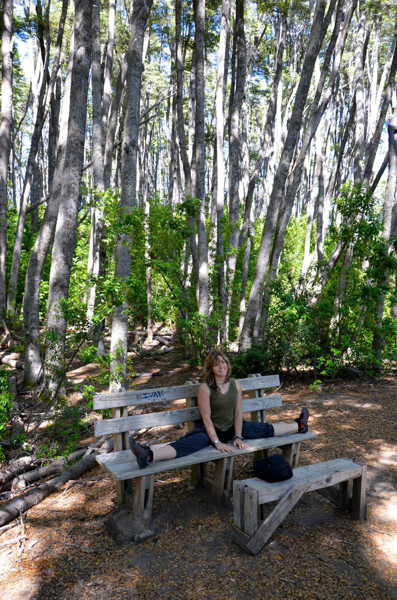 Villa la Angostura 2015 - Península de Quetrihué - Bosque de Arrayanes