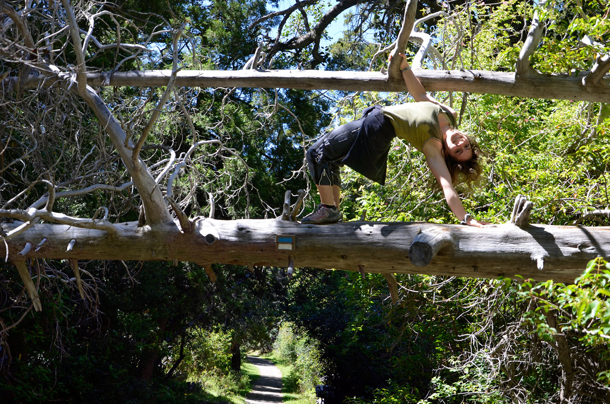 Villa la Angostura 2015 - Península de Quetrihué - Bosque de Arrayanes