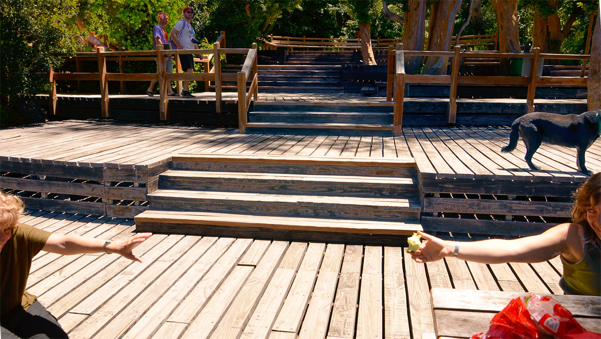 Villa la Angostura 2015 - Península de Quetrihué - Bosque de Arrayanes