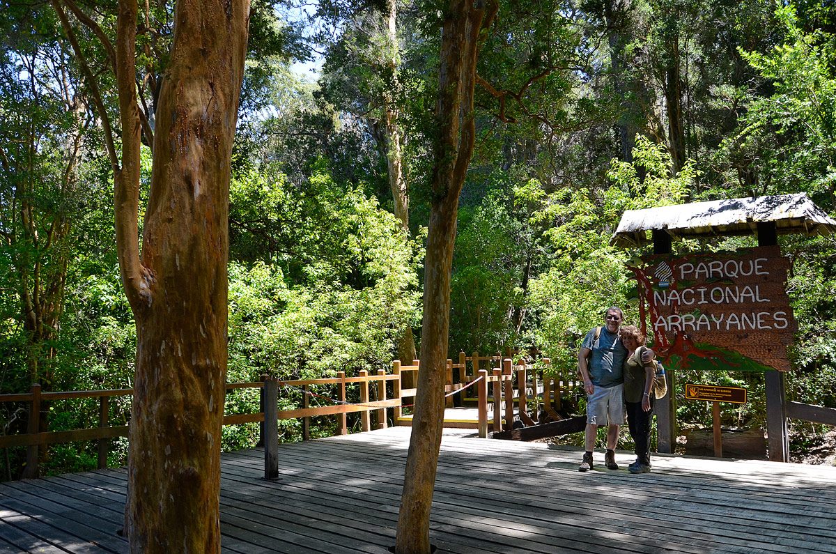 Villa la Angostura 2015 - Península de Quetrihué - Bosque de Arrayanes