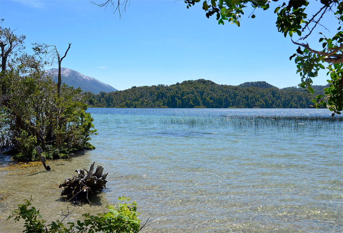Villa la Angostura 2015 - Peninsula Quetrihué - Bosque Arrayanes