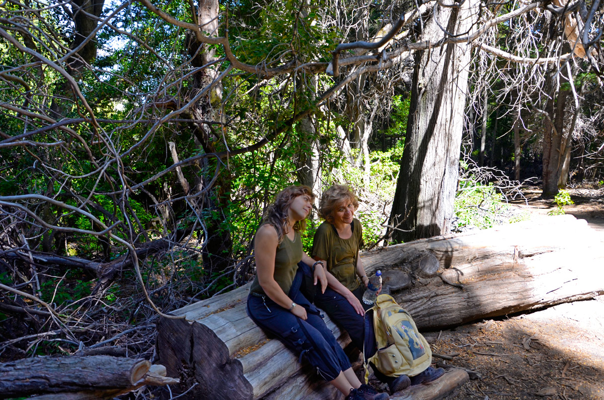 Villa la Angostura 2015 - Peninsula Quetrihué - Bosque Arrayanes