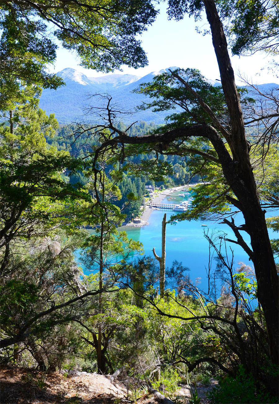 Villa la Angostura 2015 - Peninsula de Quetrihué - Bosque de Arrayanes