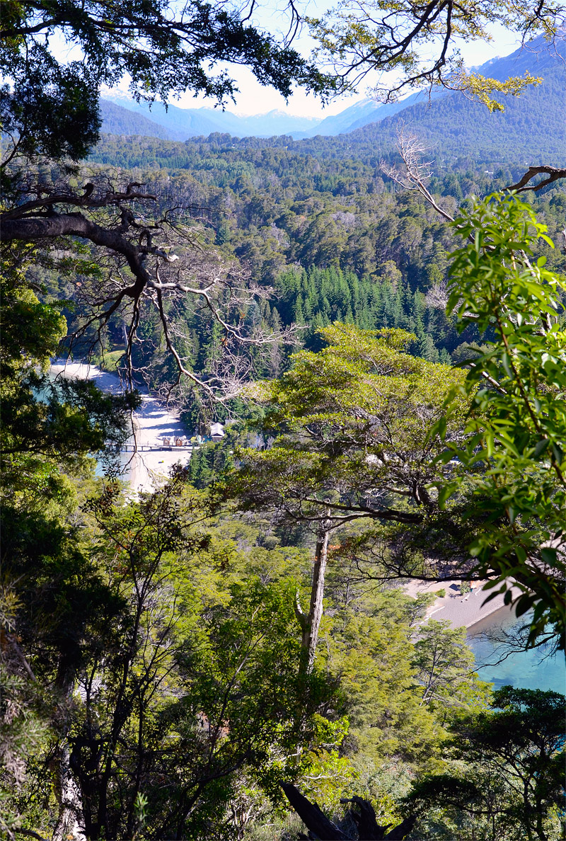 Villa la Angostura 2015 - Peninsula de Quetrihué - Bosque de Arrayanes
