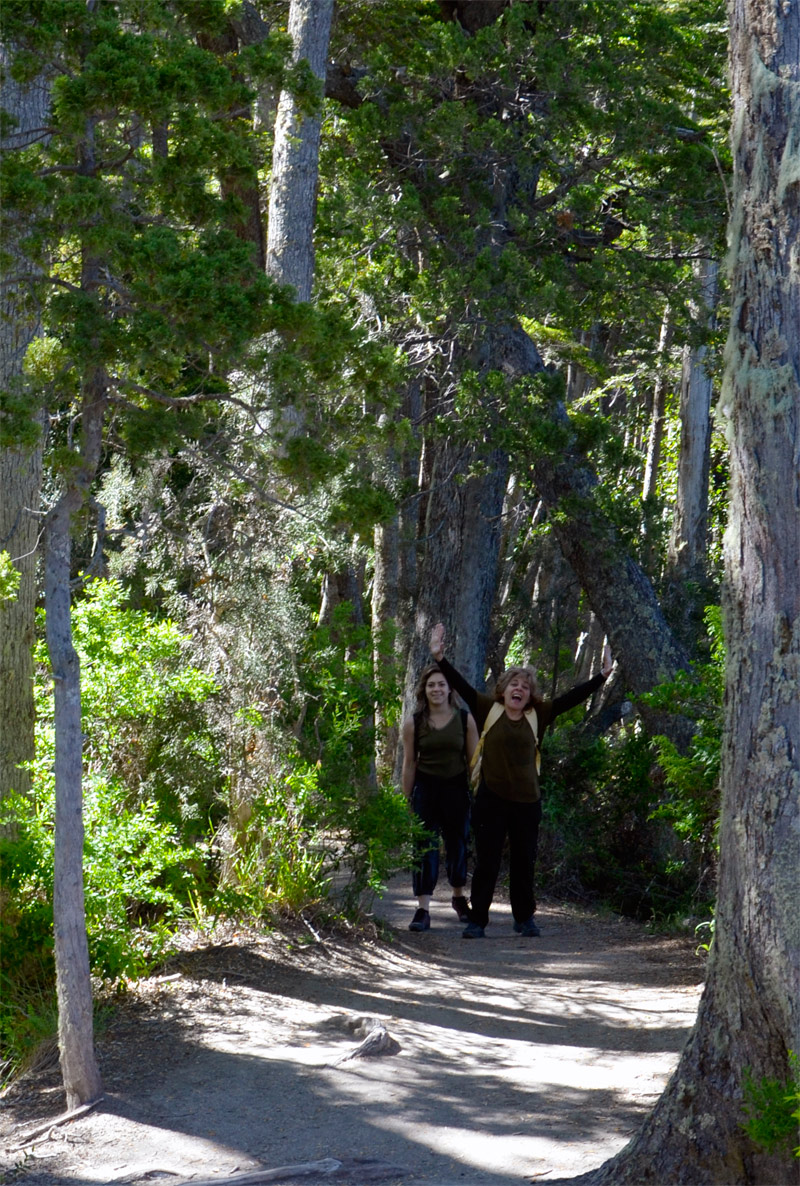 Villa la Angostura 2015 - Peninsula de Quetrihué - Bosque de Arrayanes