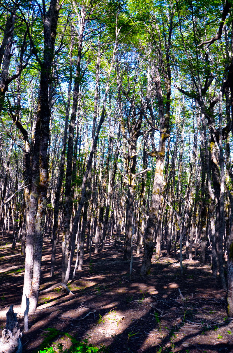 Cascada Santa Ana - Villa la Angostura 2015