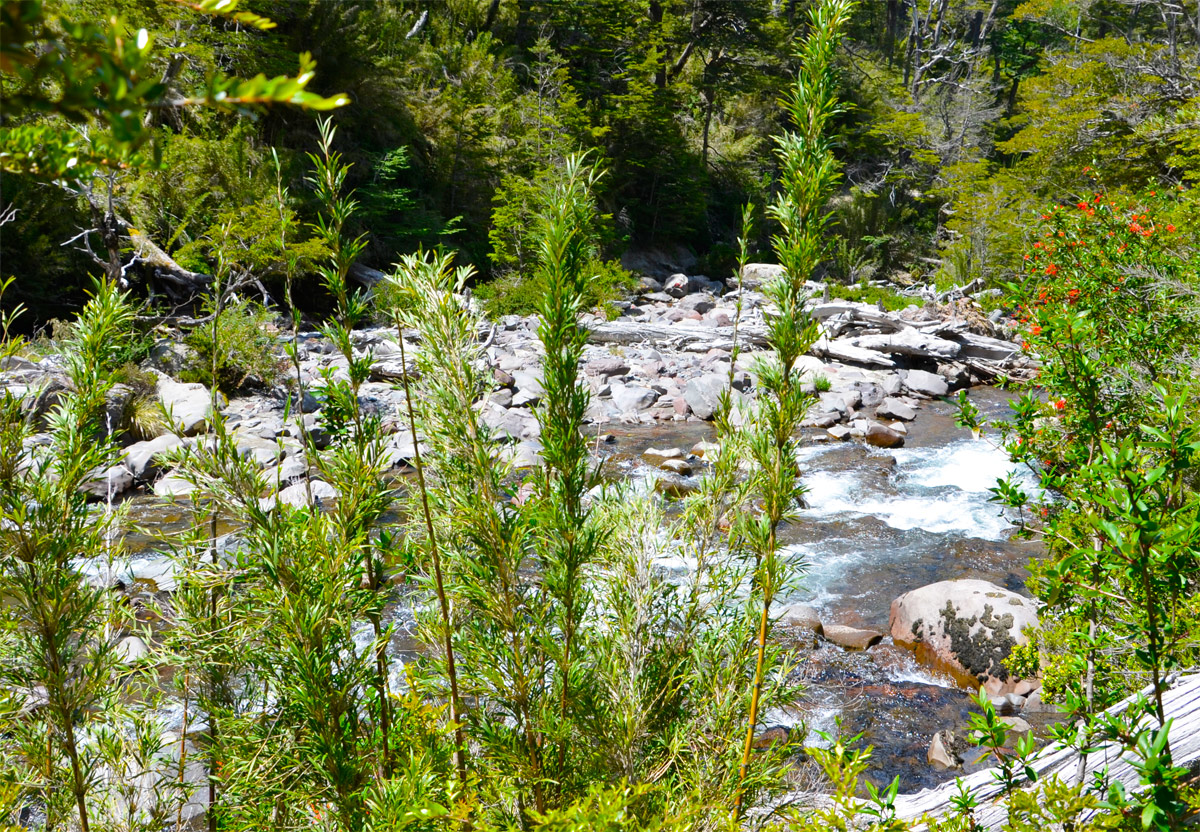 Cascada Santa Ana - Villa la Angostura 2015