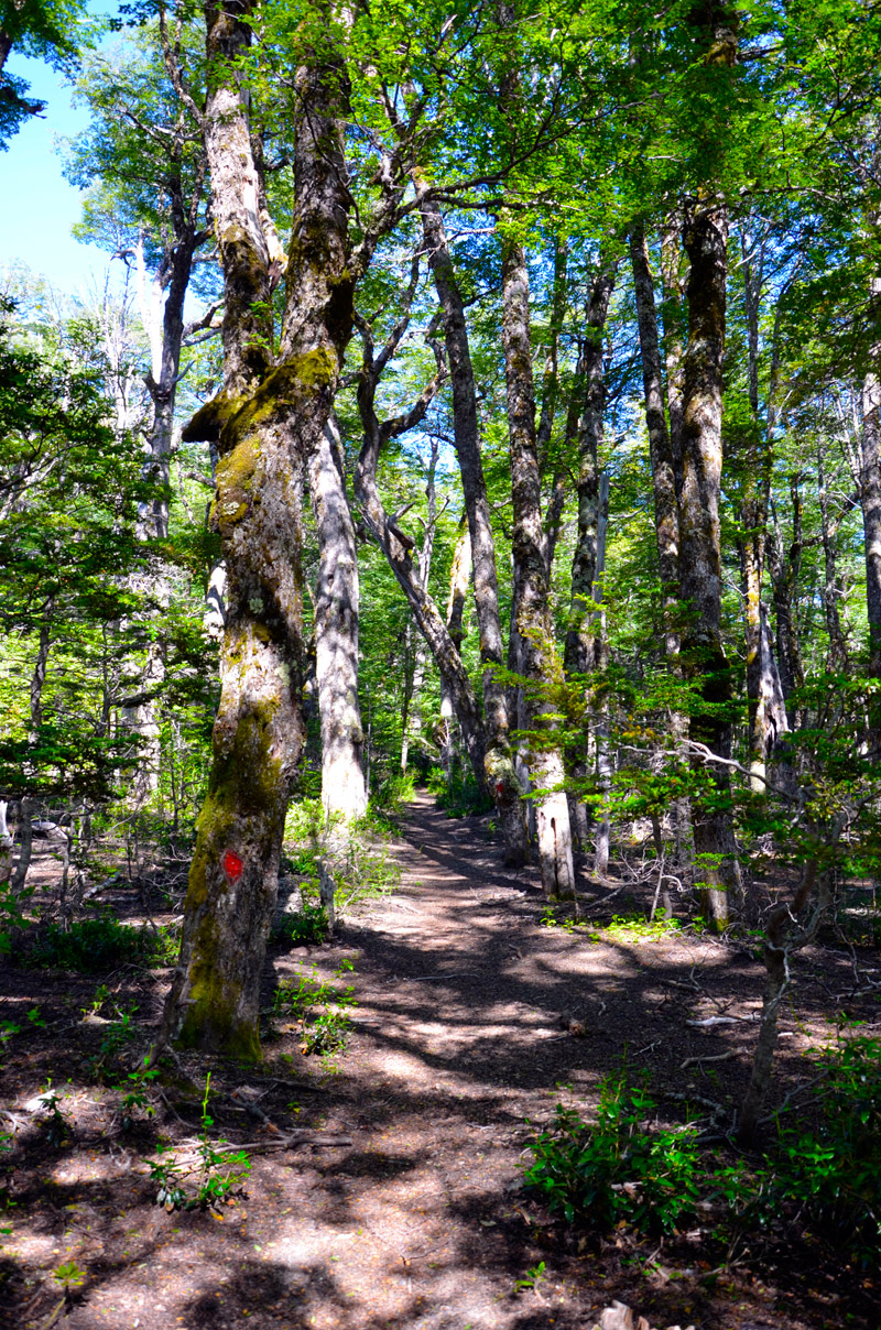 Cascada Santa Ana - Villa la Angostura 2015
