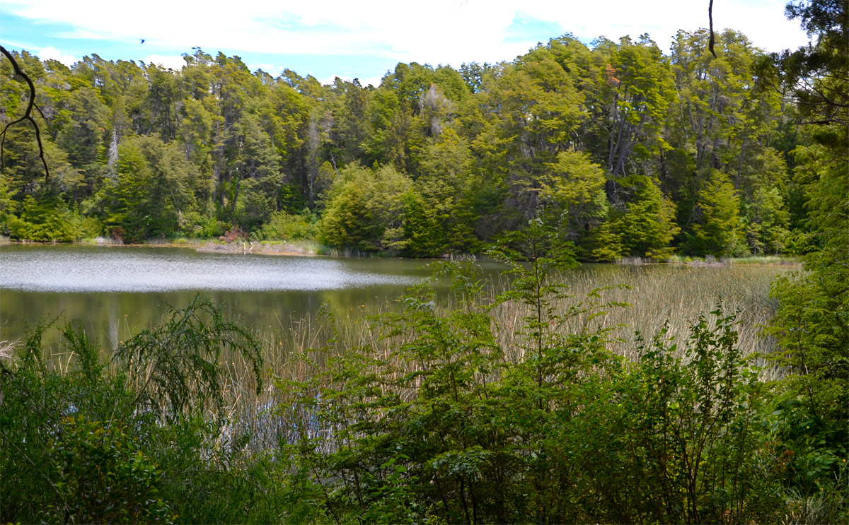 Villa la Angostura 2015 -  Laguna Verde