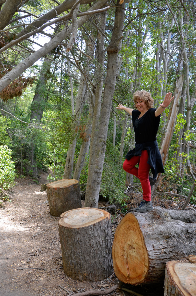 Villa la Angostura 2015 -  Laguna Verde