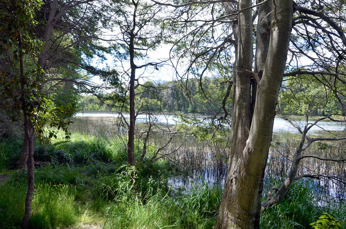 Villa la Angostura 2015 -  Laguna Verde