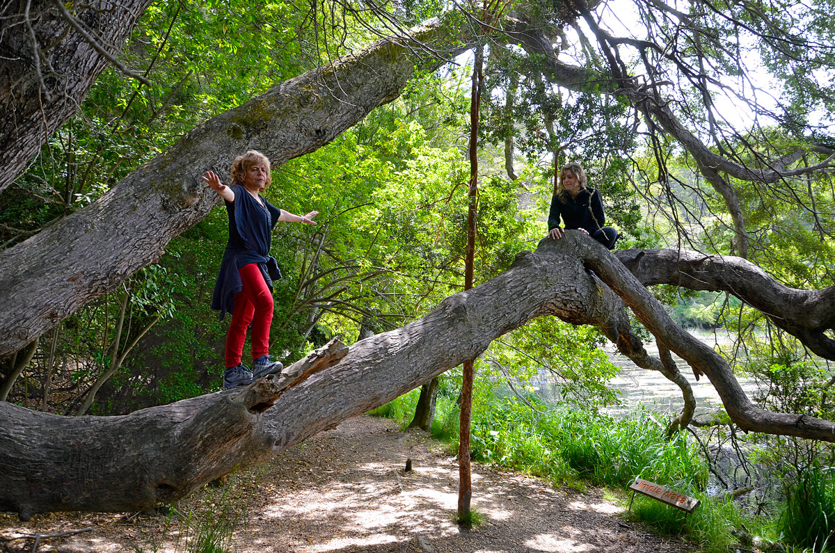 Villa la Angostura 2015 -  Laguna Verde