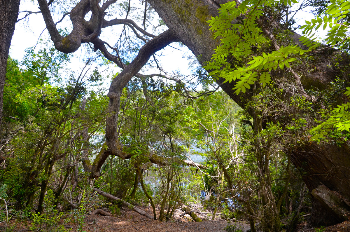 Villa la Angostura 2015 -  Laguna Verde