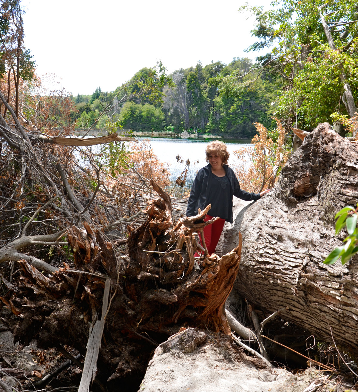 Villa la Angostura 2015 -  Laguna Verde