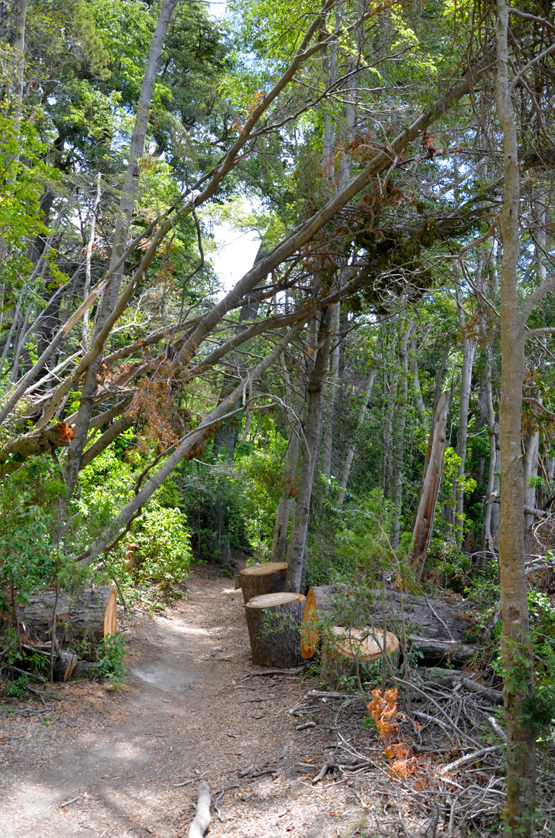 Villa la Angostura 2015 -  Laguna Verde