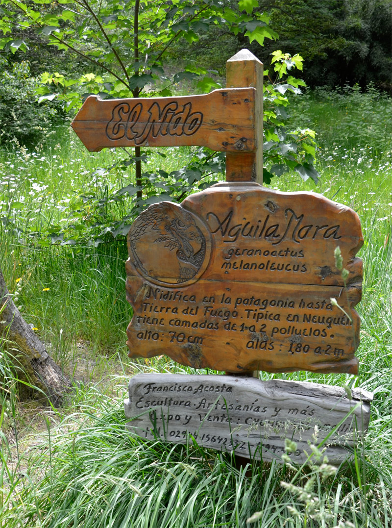 Villa la Angostura 2015