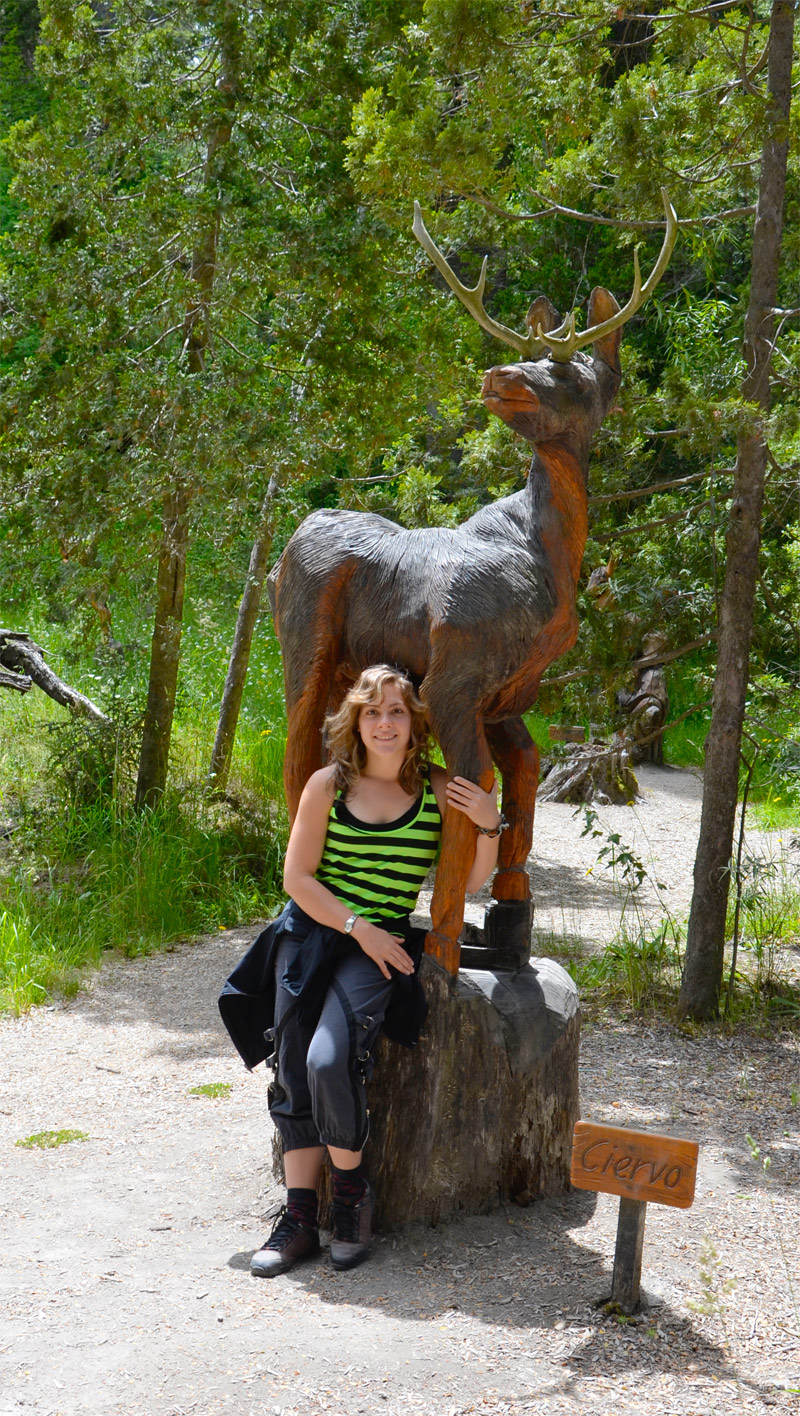 Villa la Angostura 2015