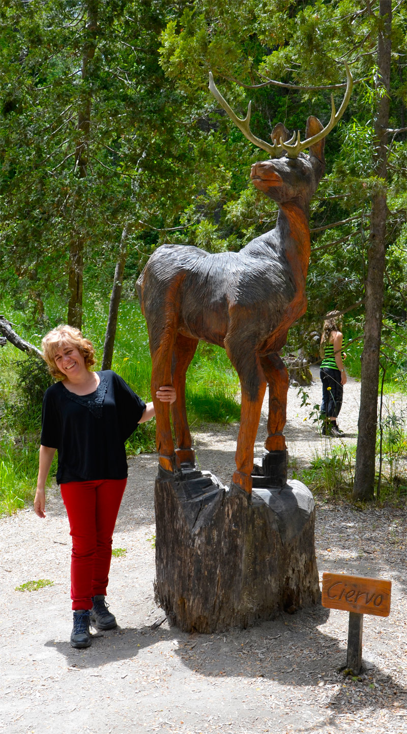 Villa la Angostura 2015