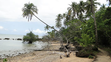 Ilha de Boipeba - Praias desde Boca da Barra hasta Morer