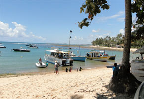 Baha (Brasil) - Praia do Forte