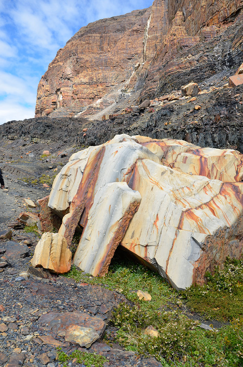 Estancia Cristina - Cañadon de los fósiles - Calafate