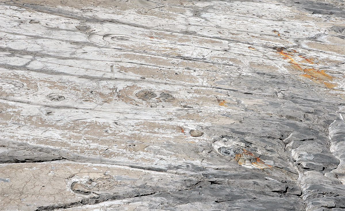 Estancia Cristina - Cañadon de los fósiles - Calafate