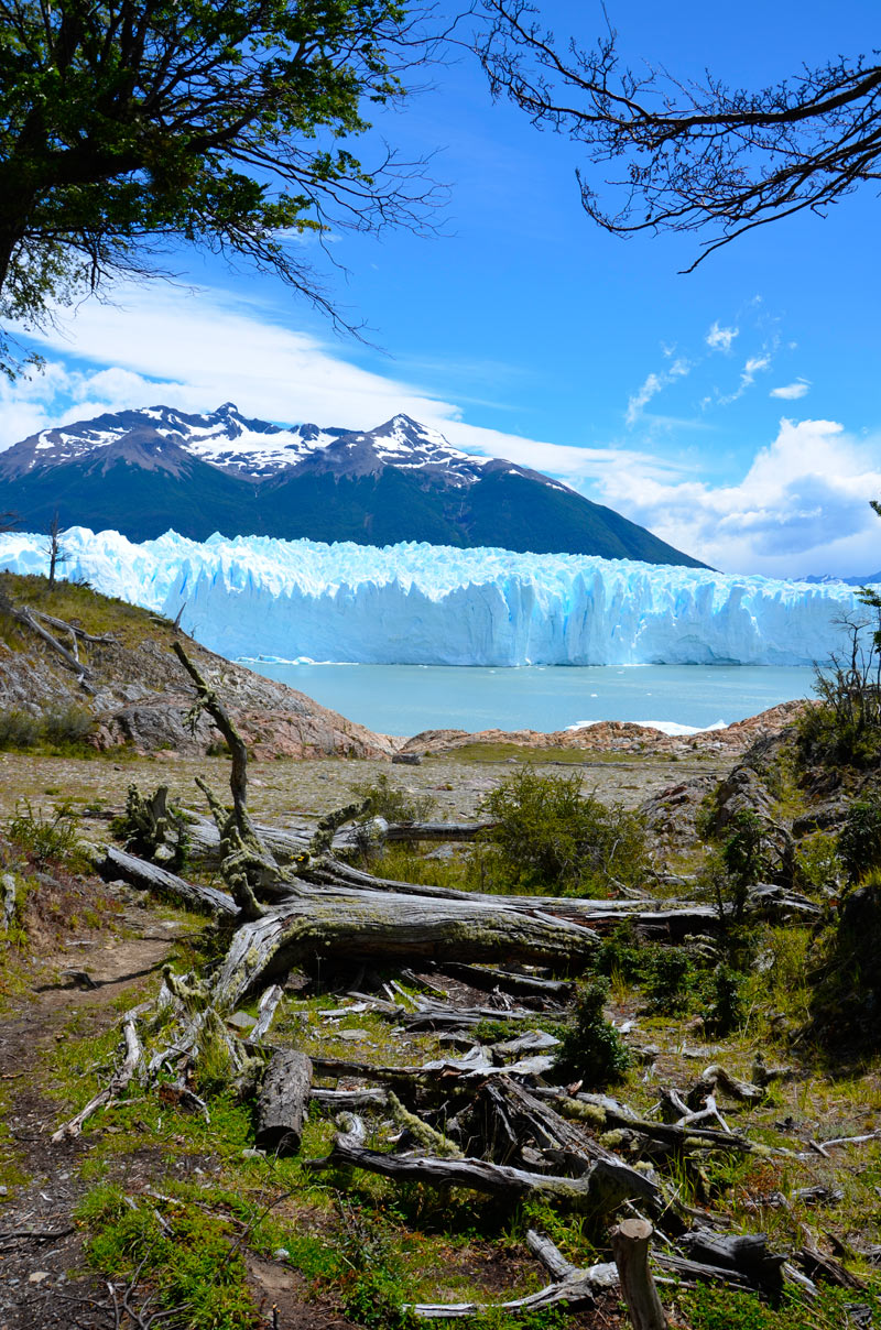 Glaciar Perito Moreno - mini trekking