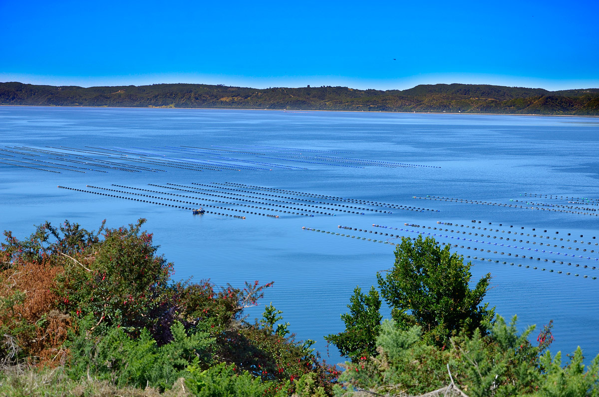 Chiloé 2016 - Isla Lemuy
