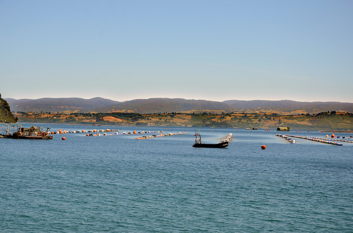 Chiloé 2016 - Isla Lemuy