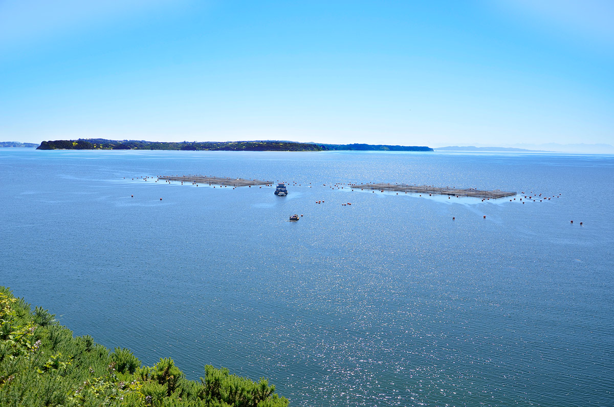 Chiloé 2016 - Isla Lemuy