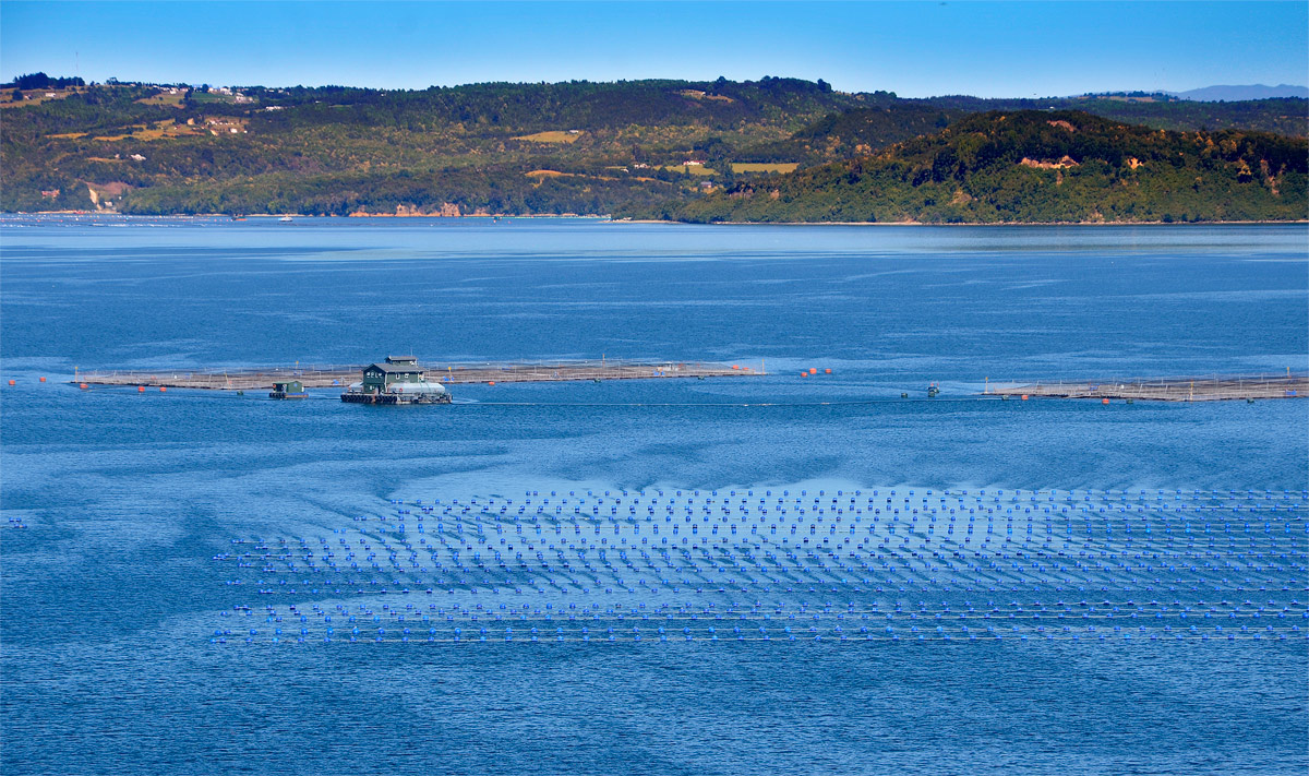 Chiloé 2016 - Isla Lemuy
