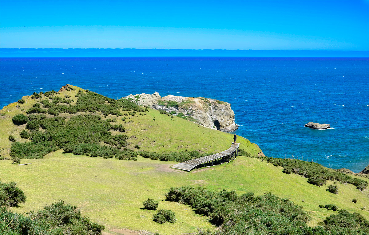 Chiloé 2016 - Muelle de las almas