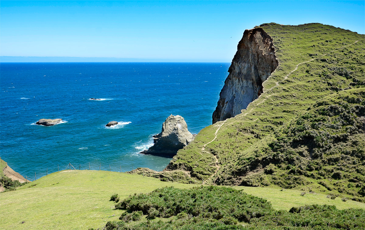 Chiloé 2016 - Muelle de las almas